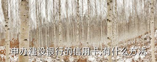 网页申请信用卡步骤,网站申请信用卡