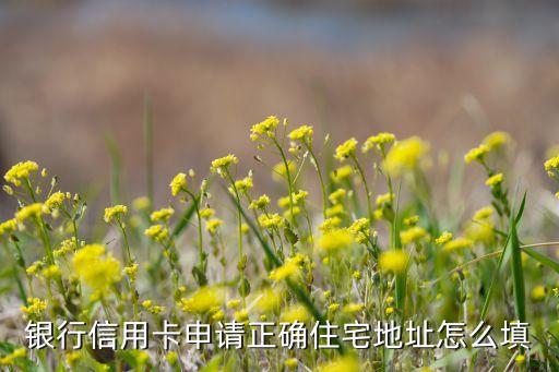 银行信用卡申请正确住宅地址怎么填