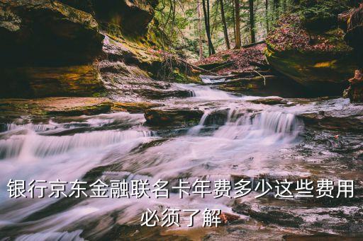 银行京东金融联名卡年费多少这些费用必须了解