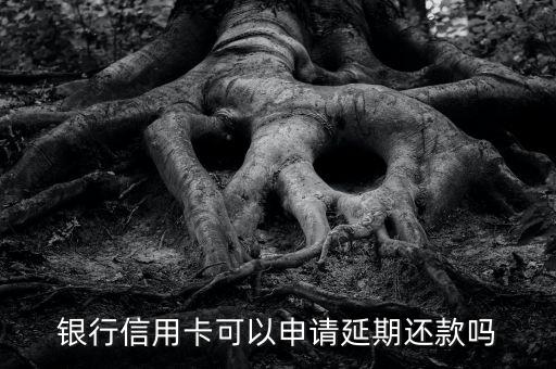 银行信用卡可以申请延期还款吗