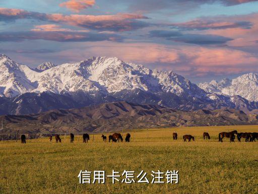 招商银行信用卡校园销卡,招行信用卡怎么注销?