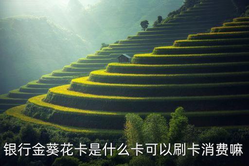 银行金葵花卡是什么卡可以刷卡消费嘛
