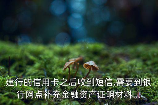 建行的信用卡之后收到短信,需要到银行网点补充金融资产证明材料...