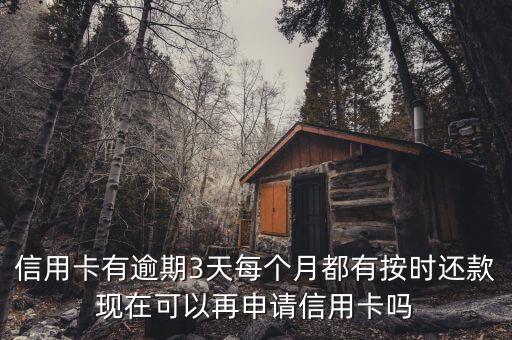 信用卡有逾期3天每个月都有按时还款现在可以再申请信用卡吗