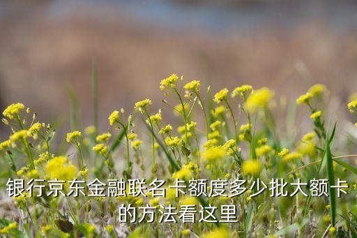 银行京东金融联名卡额度多少批大额卡的方法看这里