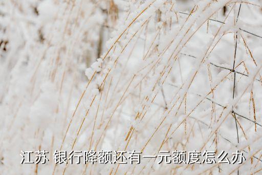 江苏银行信用卡主动提额