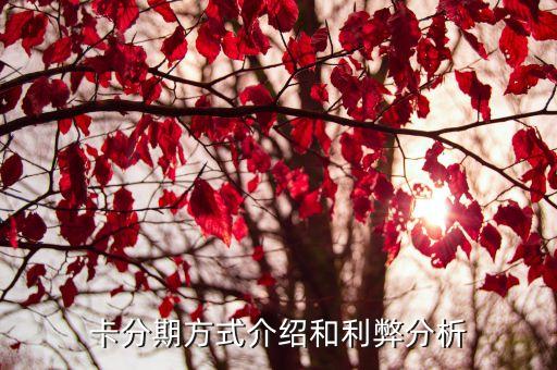卡分期方式介绍和利弊分析