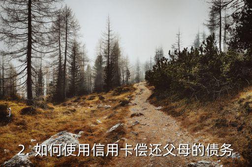 信用卡让父母偿还，用信用卡替父母偿还可能有的债务