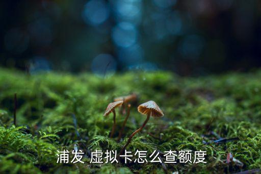  浦发 虚拟卡怎么查额度