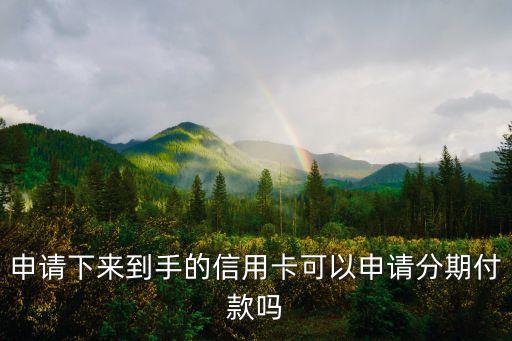 申请下来到手的信用卡可以申请分期付款吗