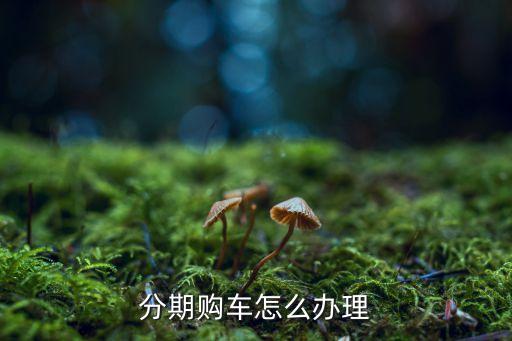 分期购车怎么办理