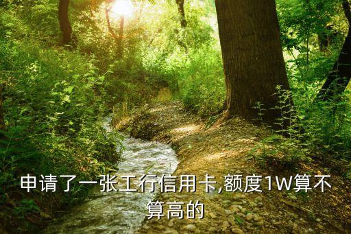 申请了一张工行信用卡,额度1W算不算高的