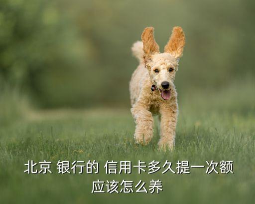  北京 银行的 信用卡多久提一次额应该怎么养