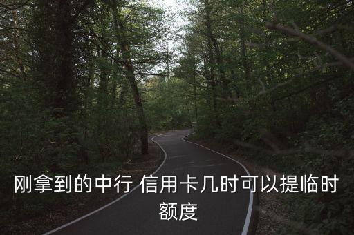 刚拿到的中行 信用卡几时可以提临时 额度