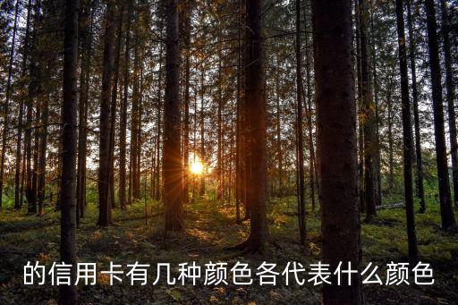 建设银行信用卡卡种是什么,建行银卡