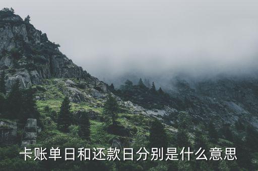 卡账单日和还款日分别是什么意思