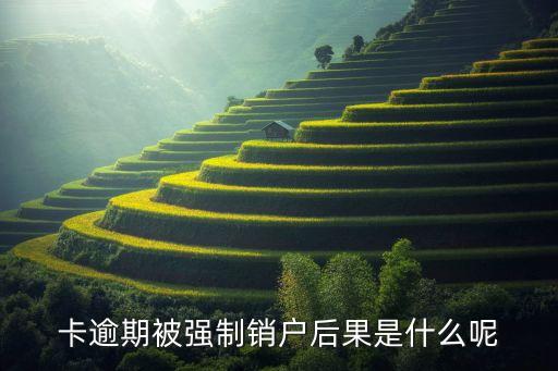 卡逾期被强制销户后果是什么呢