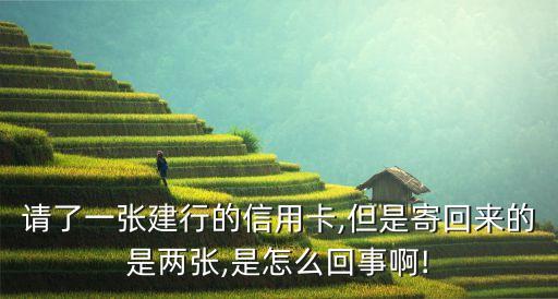 请了一张建行的信用卡,但是寄回来的是两张,是怎么回事啊!