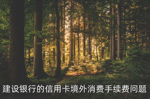 建设银行的信用卡境外消费手续费问题