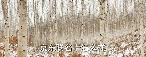 京东联名卡怎么样
