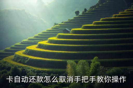 卡自动还款怎么取消手把手教你操作