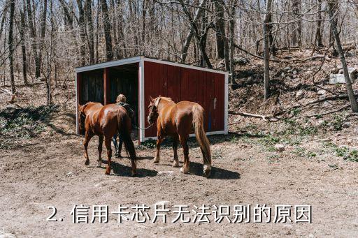 信用卡芯片读取不了，信用卡芯片无法识别，导致支付失败