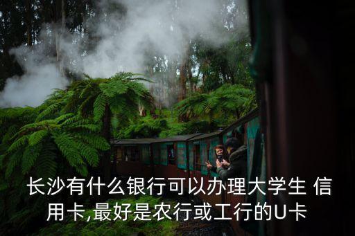  长沙有什么银行可以办理大学生 信用卡,最好是农行或工行的U卡