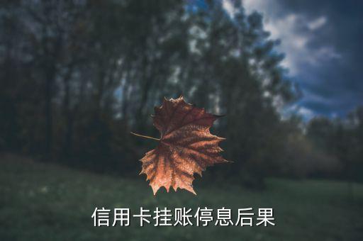 信用卡挂账停息后果