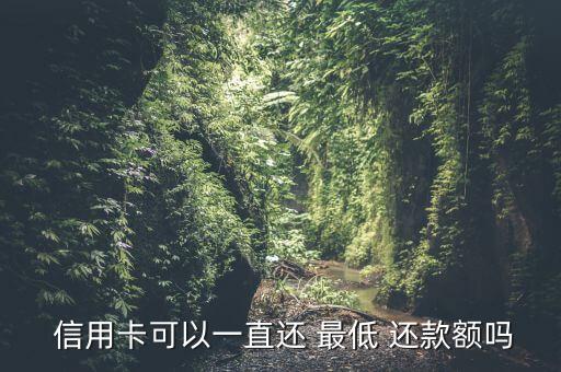  信用卡可以一直还 最低 还款额吗