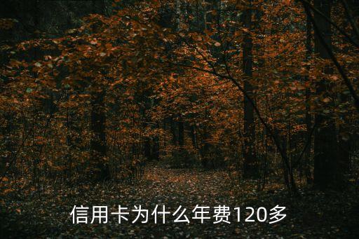 信用卡为什么年费120多