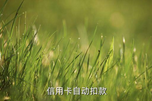信用卡自动扣款
