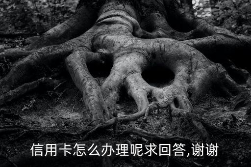 信用卡怎么办理呢求回答,谢谢