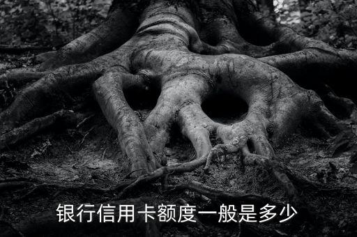 银行信用卡额度一般是多少