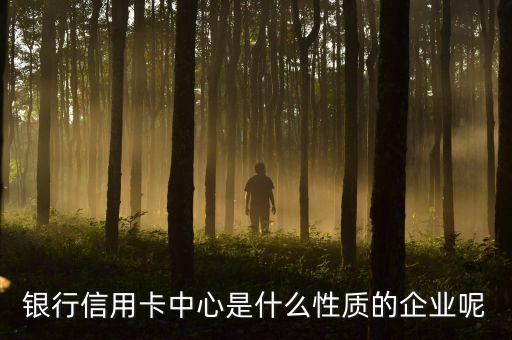 银行信用卡中心是什么性质的企业呢