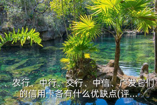、农行、中行、交行、中信、广发它们的信用卡各有什么优缺点(评...
