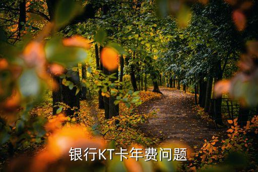 银行KT卡年费问题