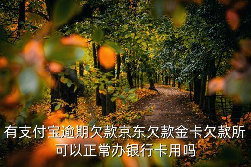 有支付宝逾期欠款京东欠款金卡欠款所可以正常办银行卡用吗
