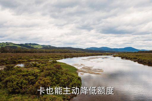 卡也能主动降低额度