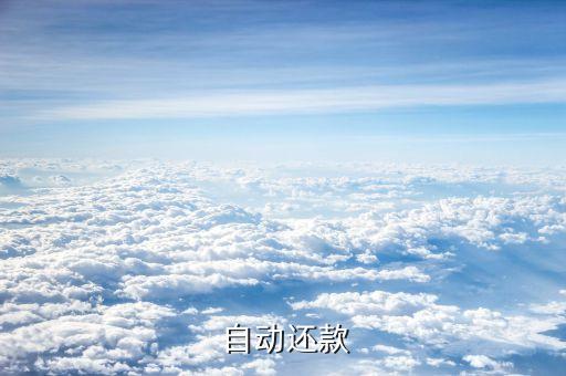 自动还款