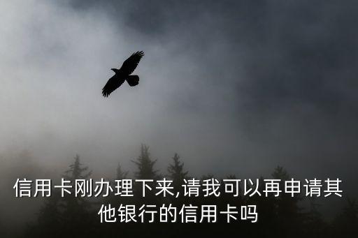 信用卡刚办理下来,请我可以再申请其他银行的信用卡吗