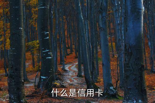 什么是信用卡