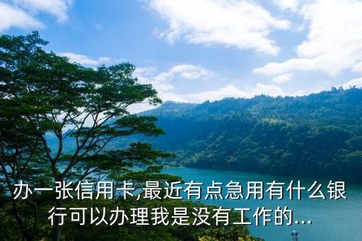 办一张信用卡,最近有点急用有什么银行可以办理我是没有工作的...