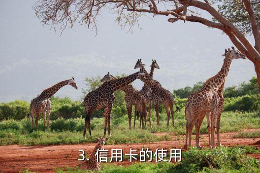 信用卡的详细流程，信用卡申请流程详解