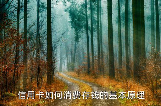 信用卡如何消费存钱的基本原理