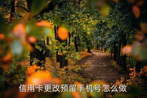 信用卡更改预留手机号怎么做