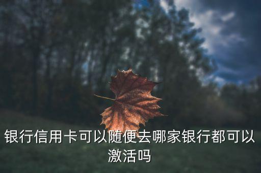 银行信用卡可以随便去哪家银行都可以激活吗