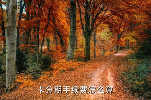 卡分期手续费怎么算