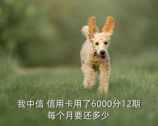 我中信 信用卡用了6000分12期每个月要还多少
