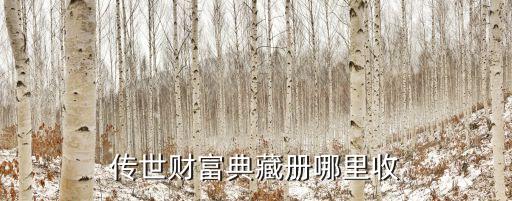传世财富典藏册哪里收