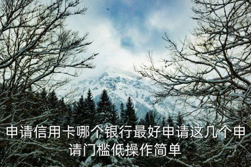 申请信用卡哪个银行最好申请这几个申请门槛低操作简单